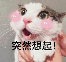 开售仅2分钟就被一抢而空！一件印花短袖居然可以12小时涨价6倍？