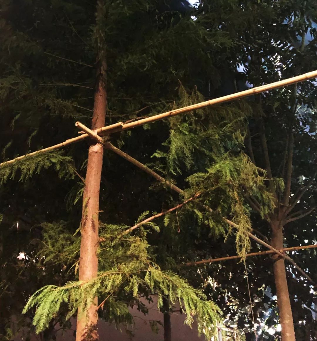 dior值得买的马鞍包是哪款,dior最好的十款包