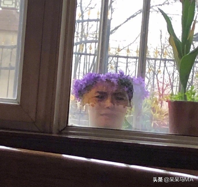 密室大逃脱段子,盘点那些搞笑的逃脱密室