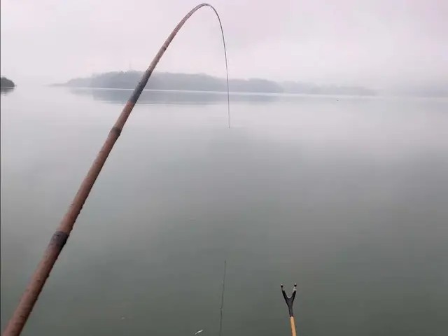 高碳鱼竿便宜和贵的有啥区别,高碳鱼竿一般多少钱每米