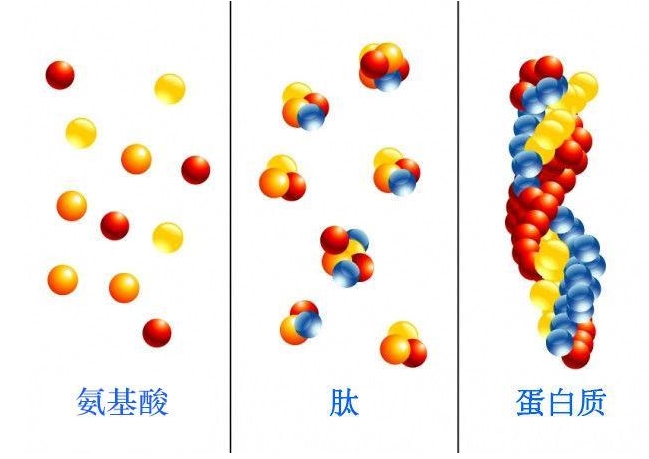 20岁抗衰老最好的方法,抗衰老的7种小方法了解下