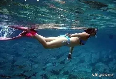 新手学游泳常见的错误,新手学习游泳会出现哪些状况