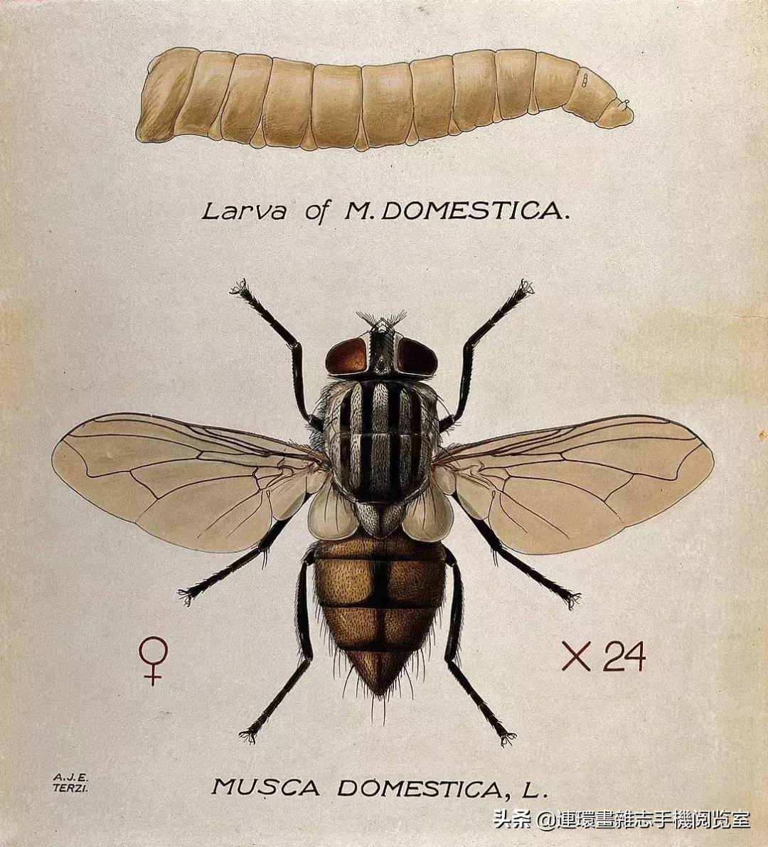 对地球有最大作用的东西,对地球有哪些影响