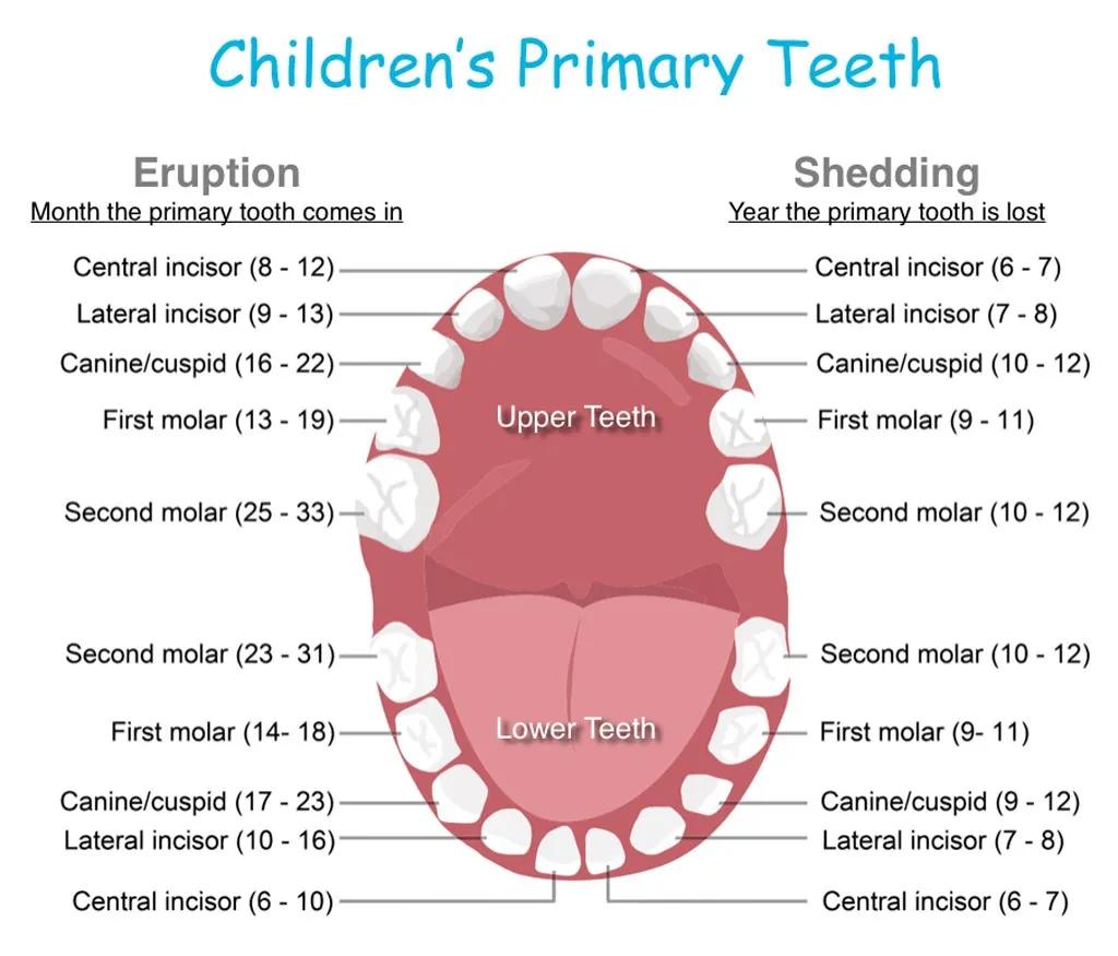 姚晨孩子片段,姚晨晒孩子视频全集
