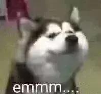 一万五的lv包,一万五gucci