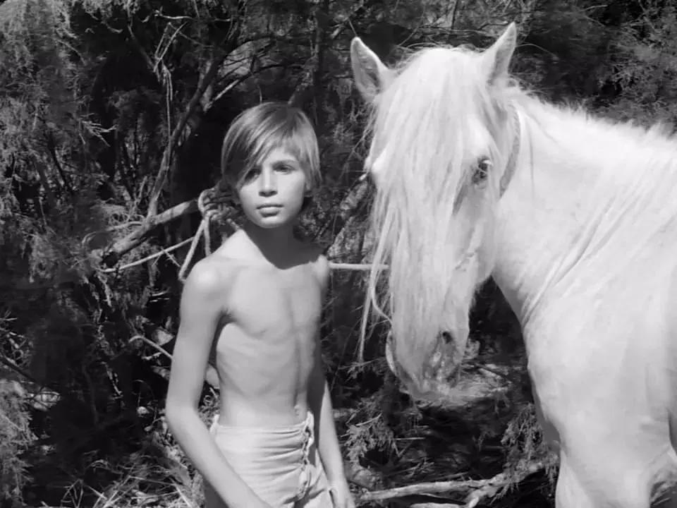 无马不自由！22部“有马”的电影，请盘住