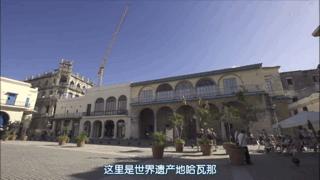 吸猫最高境界图片,吸猫最高境界完整视频