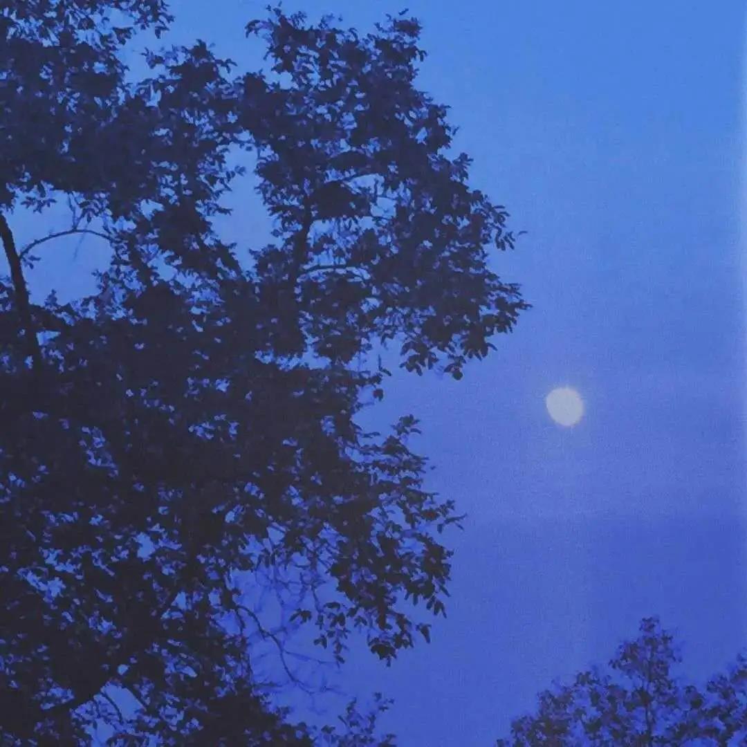 请你不要逼我语录,为什么就不能让我过得开心一点