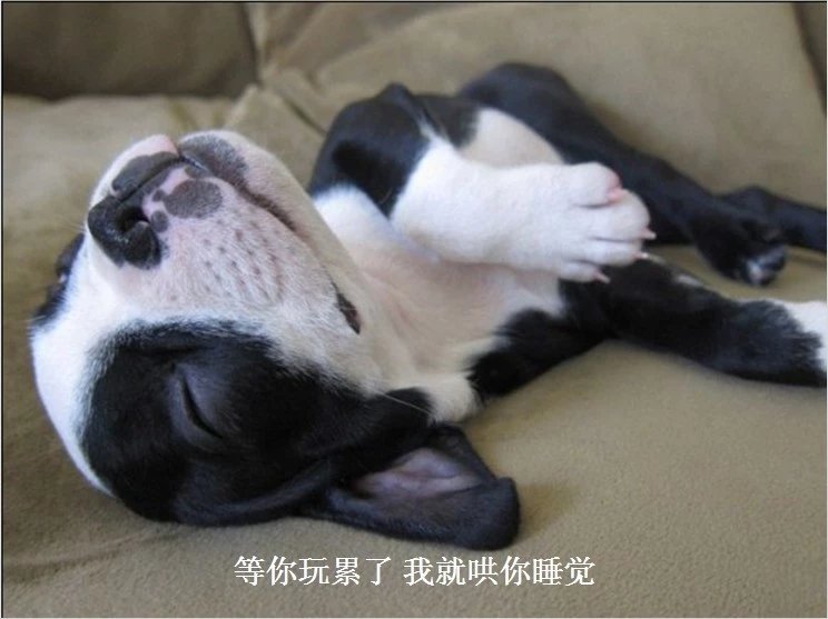 我只想说声爱你,只想再爱你一次