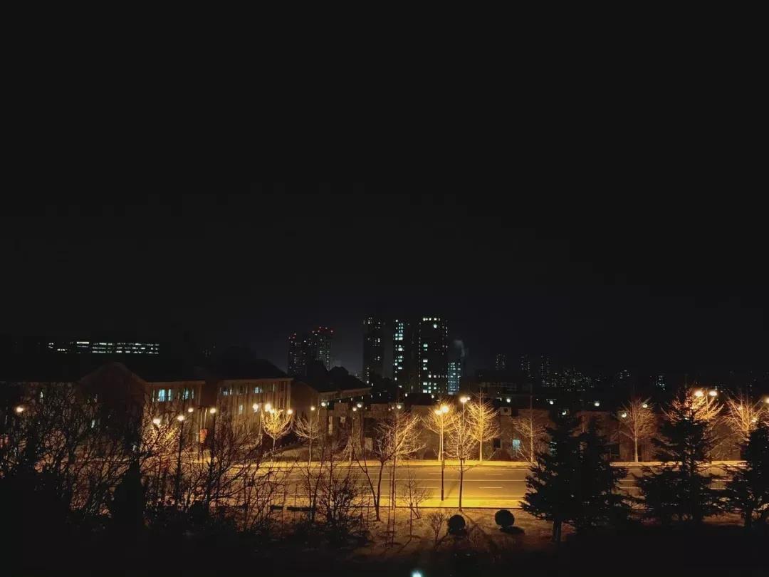 辽宁省民办大学（二）大连东软信息学院