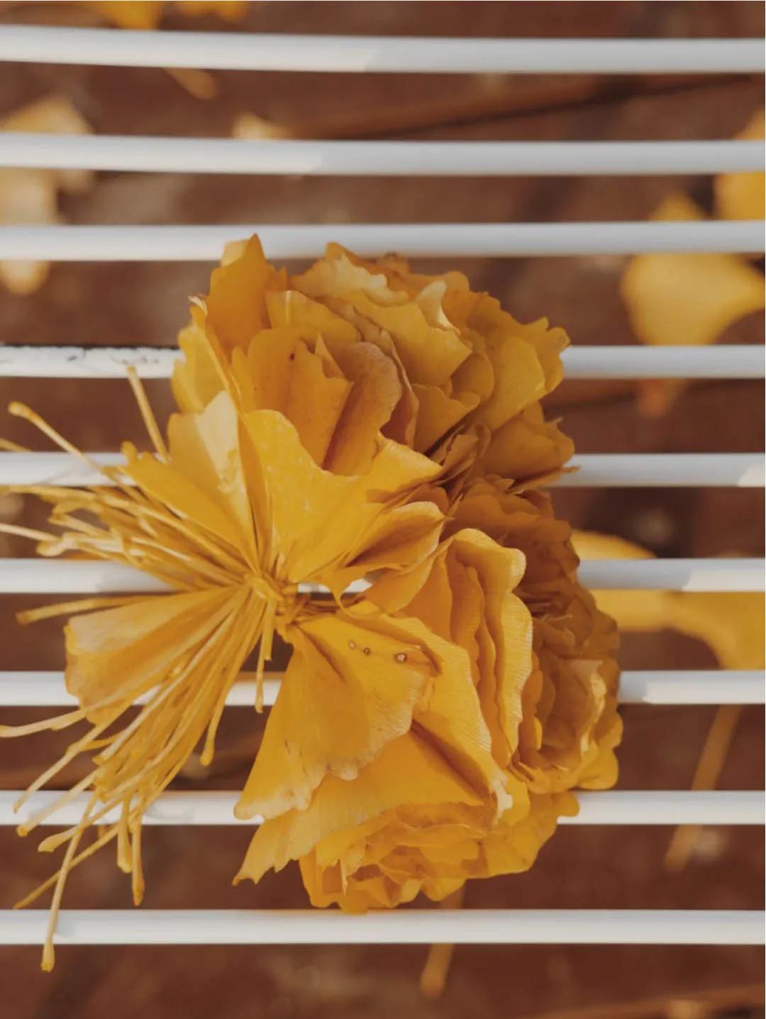 银杏叶咋做玫瑰花,银杏叶怎么做玫瑰花