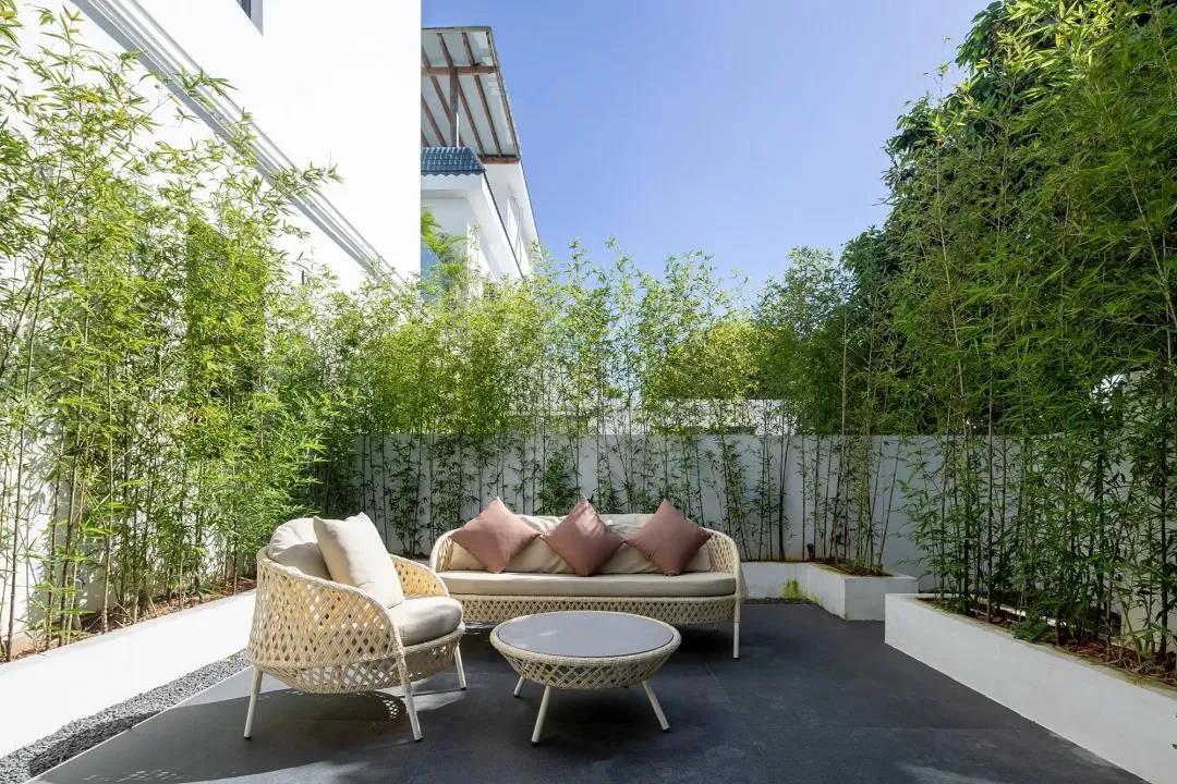 深圳海边网红打卡民宿,海边民宿网红打卡地