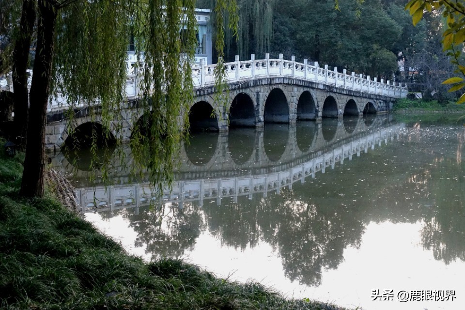 ［鹿眼视界·我的随拍］之346金牛宾馆，牛