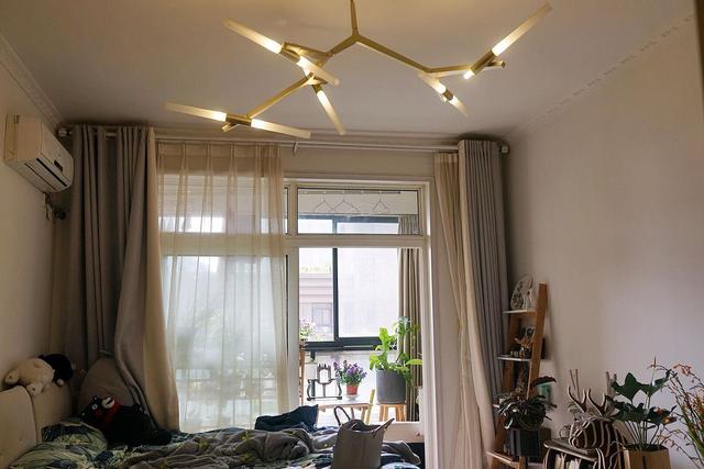 适合卧室养的10种花,养金枝玉叶放卧室可以改善睡眠吗