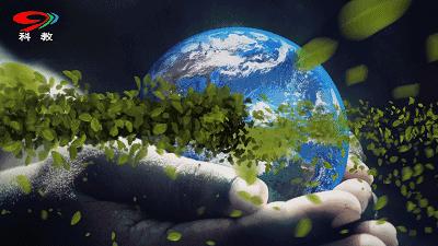 成都的干净程度,成都的街道名为什么好听