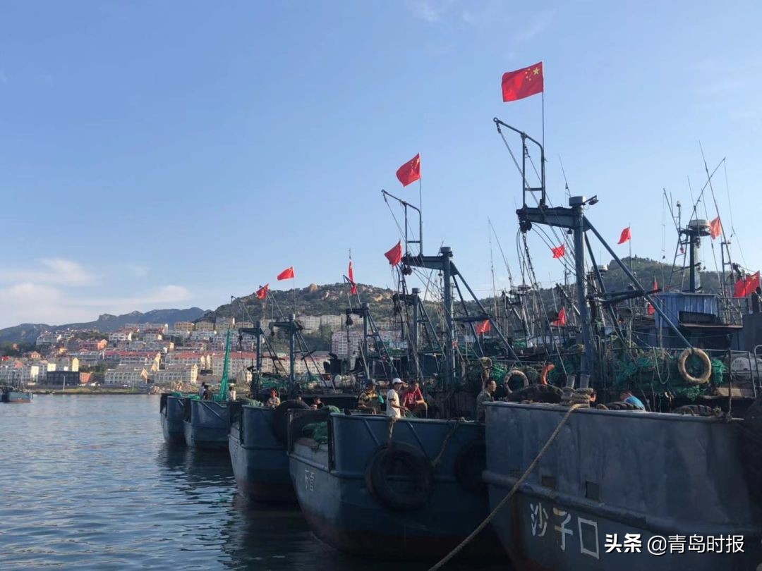 青岛西海岸富人区价格,有一种炫富叫做湛江开海