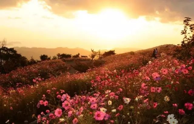 12个句子看透人世浮华,看透人世浮华做一个简单的人