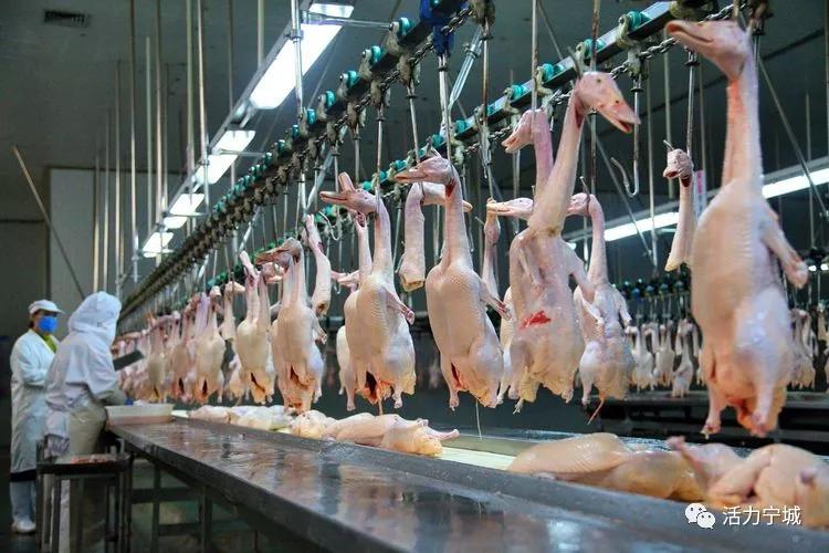 内蒙古赤峰市优化疫情防控措施,没有一个冬天不可逾越武汉加油