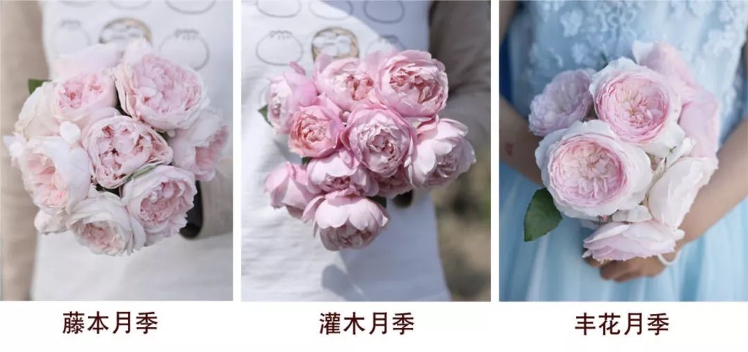 宅家还不逛淘宝？低价格、高格调好物，链接直给，买就完了