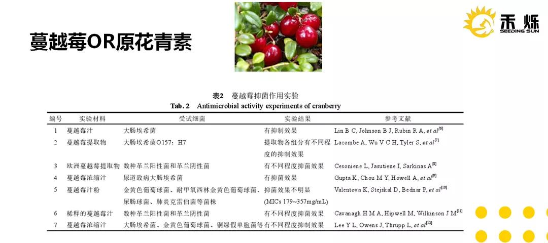 猫咪泌尿感染有哪些症状,矿砂对猫咪泌尿有影响吗