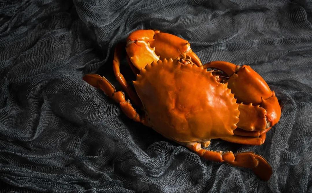 公母螃蟹哪种最好吃,最便宜的螃蟹哪里最好吃