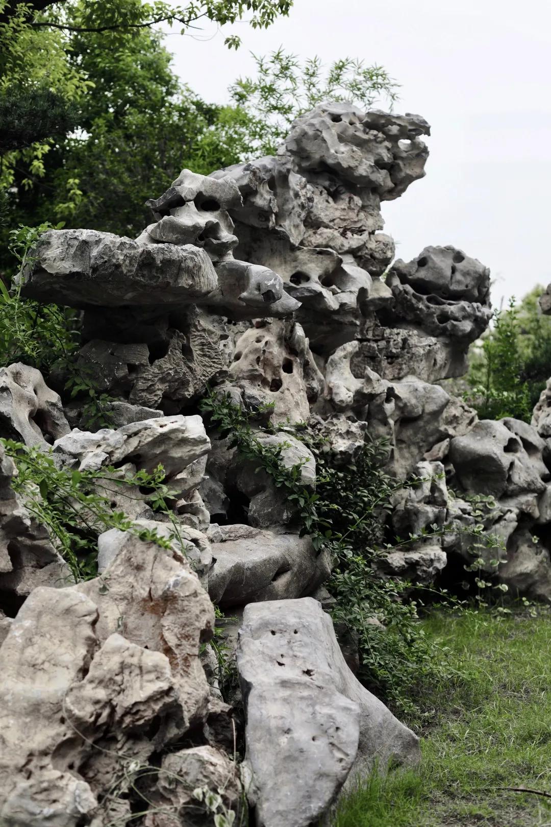 90后董事长年会视频,90年后董事长