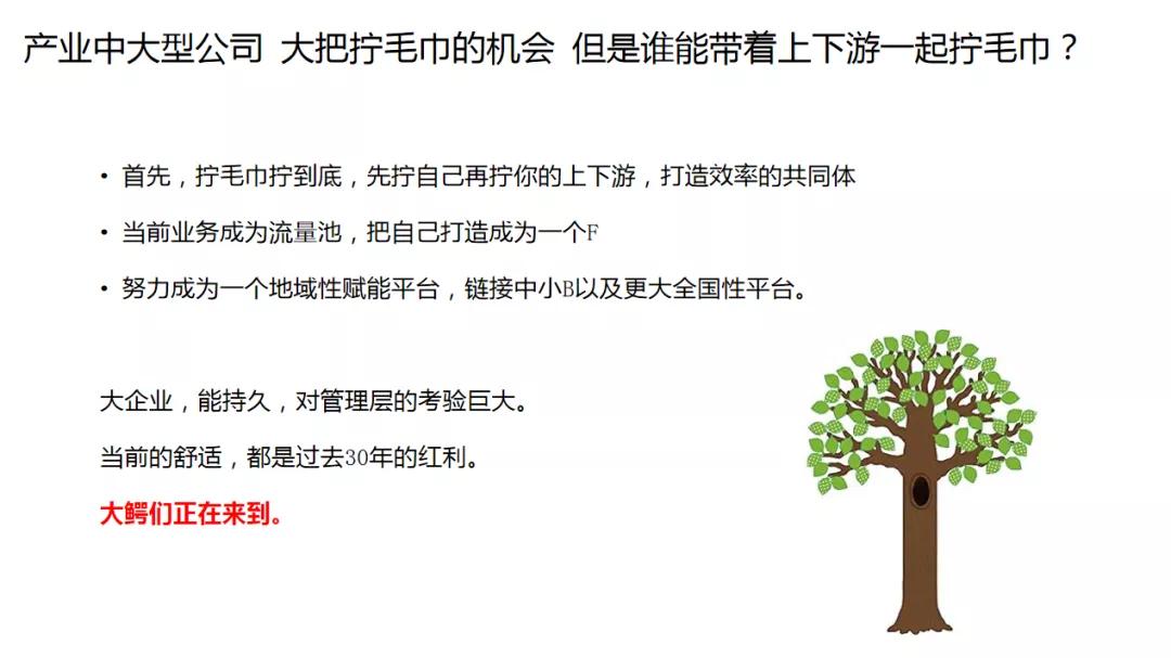 观麦杨威是哪里人,观麦董事长