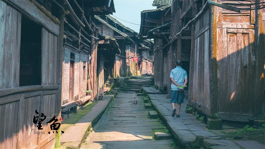 雅安旅行攻略亲子游,雅安市旅行攻略自由行路线