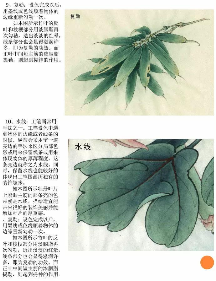 中国花鸟画国画教学,宋代工笔花鸟画表现技法
