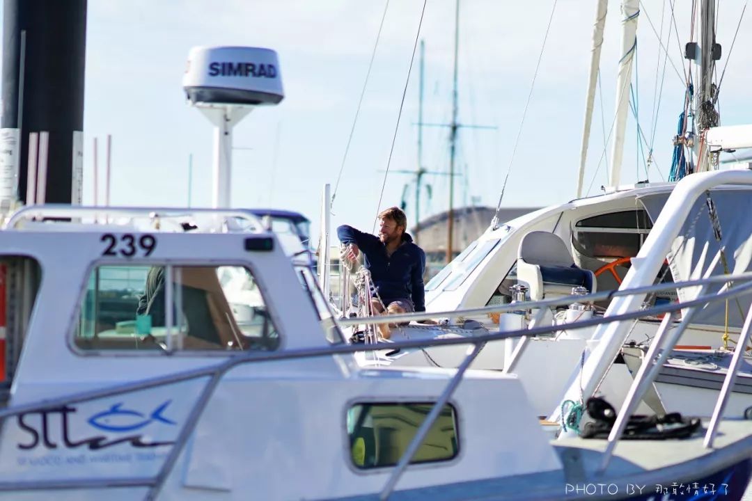 去哪里旅游可以看南极企鹅,旅游攻略南极看企鹅