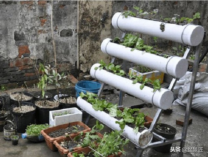 巧妙旧物改造塑料瓶变身手工花盆,旧物利用变废为宝制作花盆