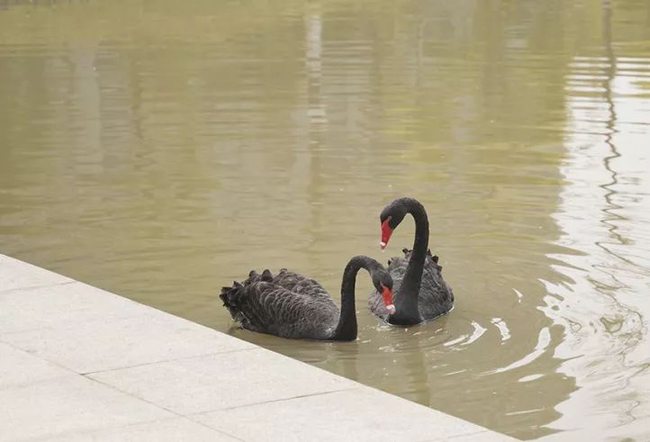 深圳有个建在“空中”的大学，拍照美到爆！
