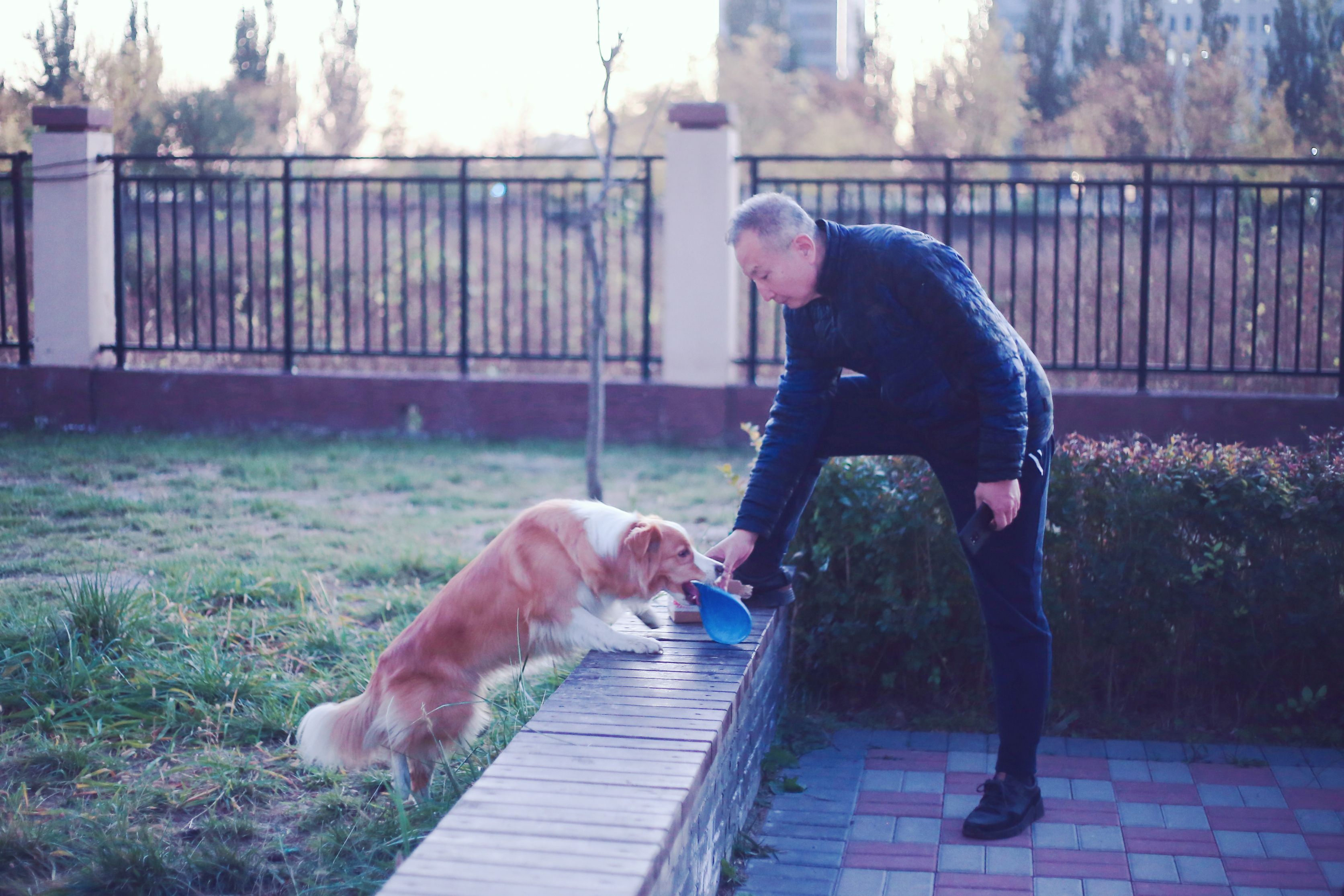 单人充气懒人床,自动充气床舒适感