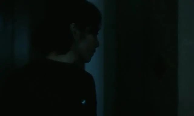 李冰冰警察电影老片子,李冰冰国产电影