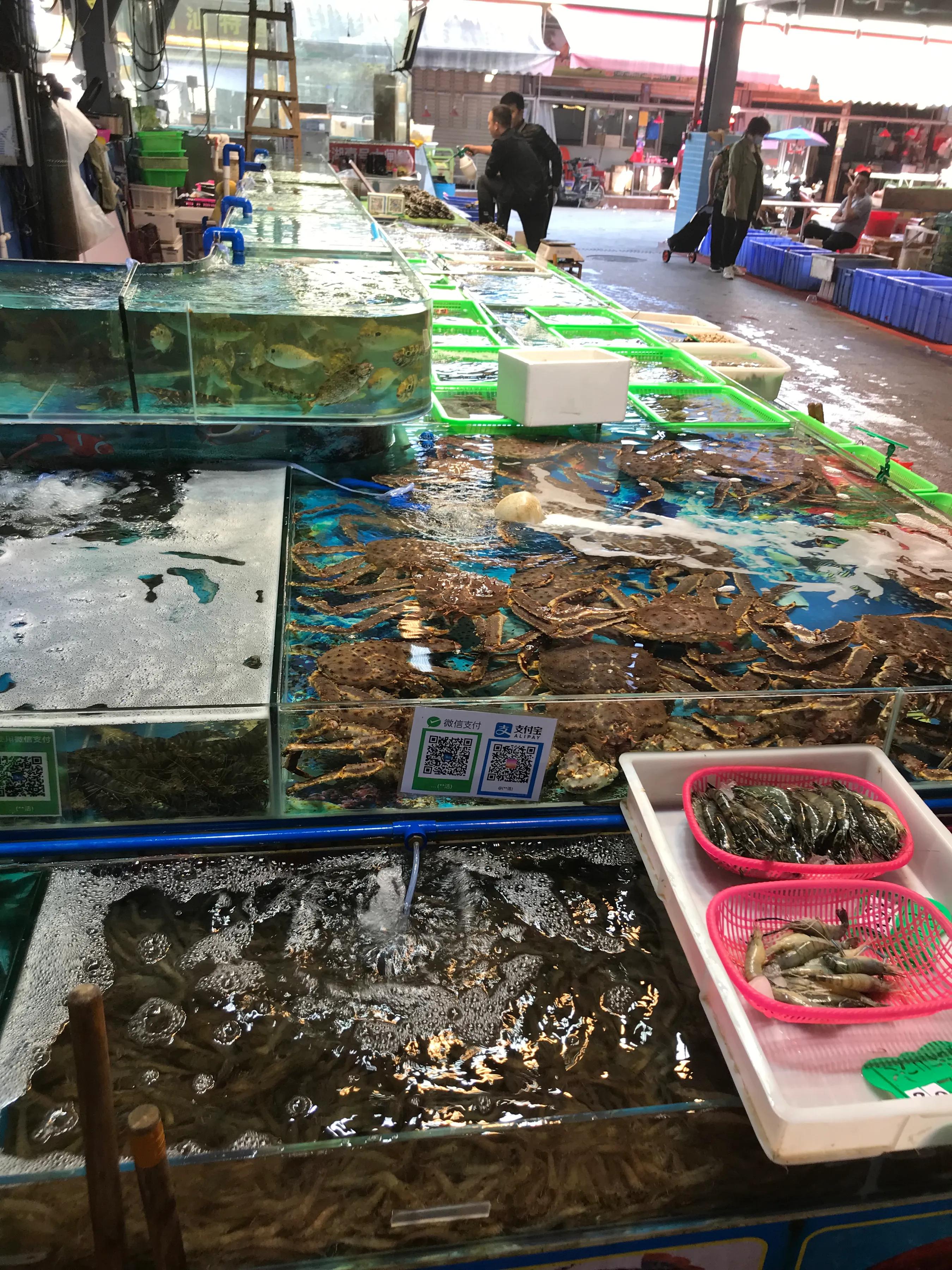 广州荔塱农贸批发市场,芳村荔塱菜市场