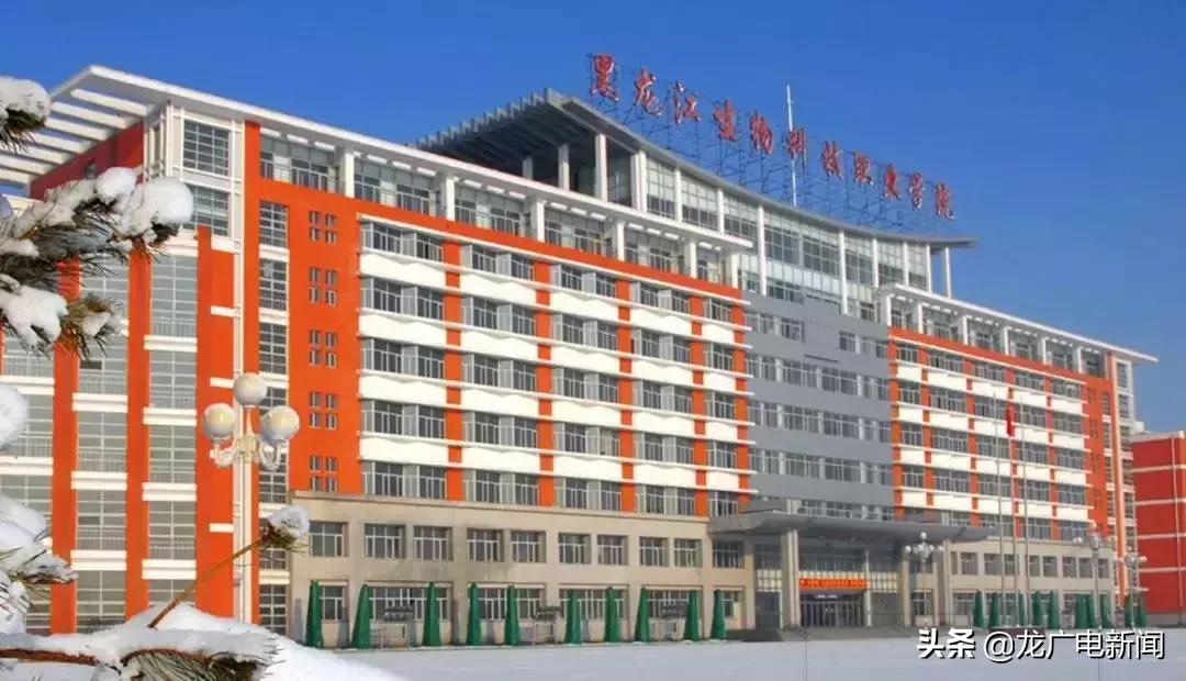 黑龙江省优秀高中学校,黑龙江省冲击双一流学校名单