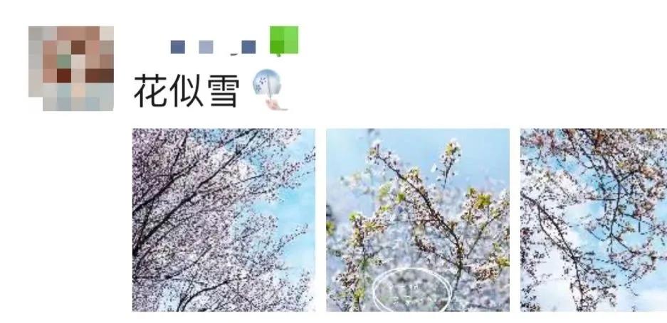 成都春游好去处周末 (成都周边周末春游推荐)