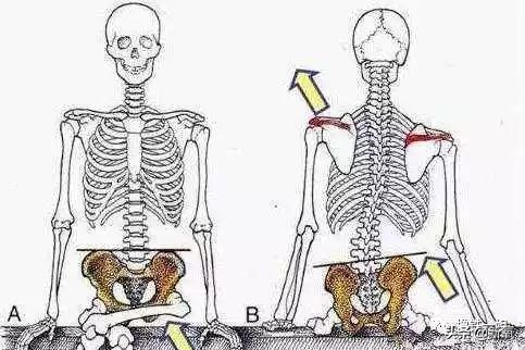 石原里美萝卜腿,石原里美新垣结衣瘦腿