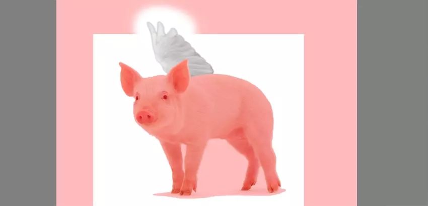 ps花仙子合成教程,ps合成狗狗教程