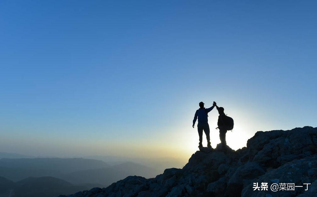 高考作文议论文2015最风采的人,2015年谁最有风采作文