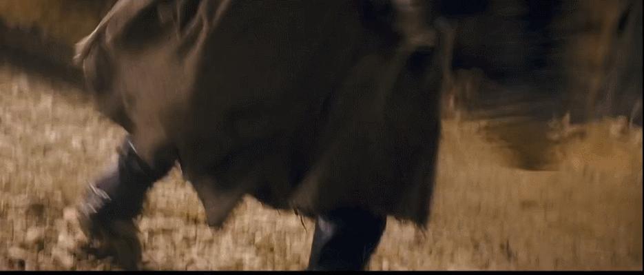 甄子丹最巅峰武打片,甄子丹功夫排第几