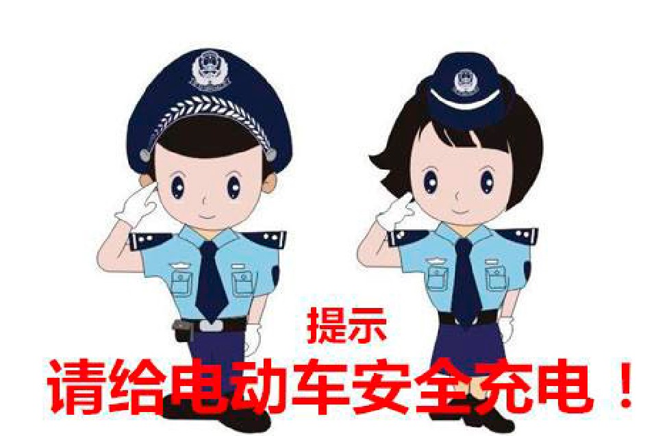 电动车放太久电池充不进电怎么办,电动车电池放的时间长了充不进电