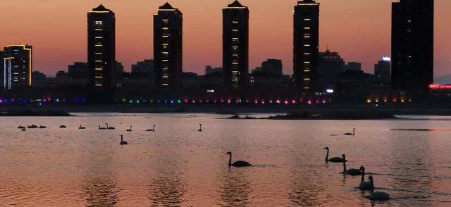 手拍世界手机摄影平台,手拍世界摄影平台