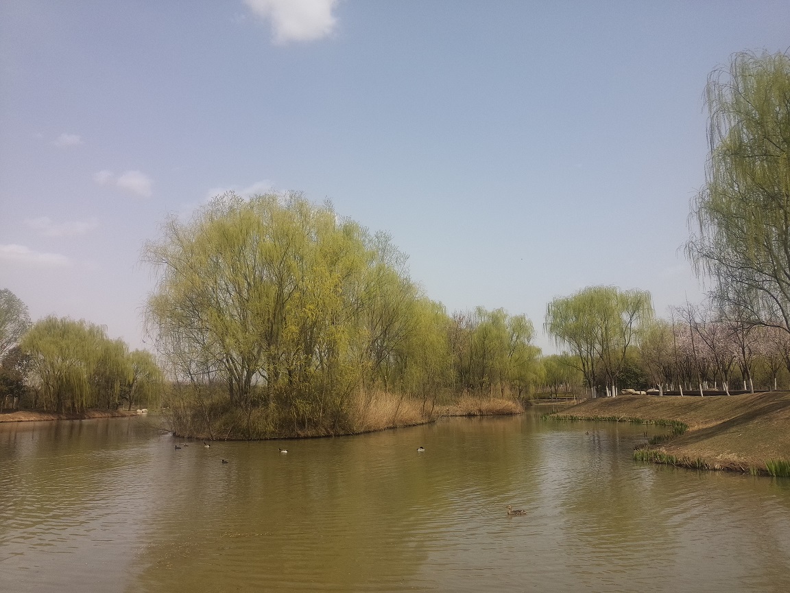 西安浐灞湿地公园内免费游玩推荐,西安浐灞亲子儿童乐园