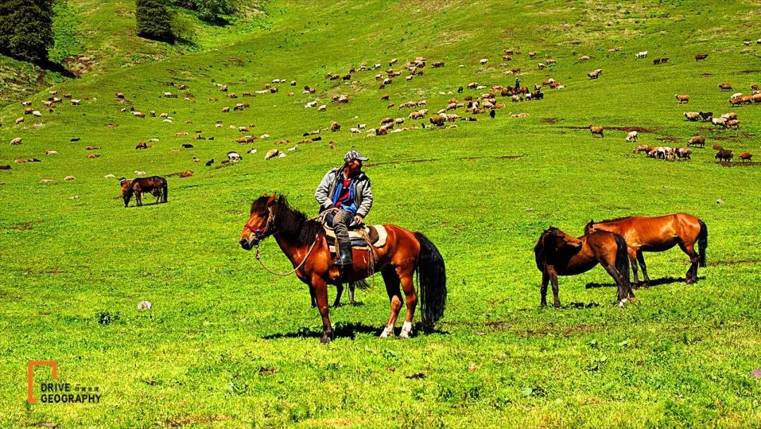 值得走一遭的网红公路,全疆最美的公路