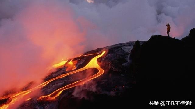 蜜獾面对三只狮子毫不畏惧,蜜獾是不是连狮子和老虎都不怕