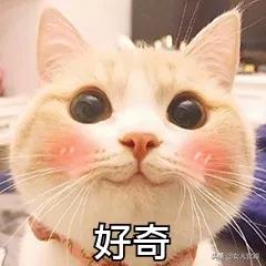 盆底肌很松怎么办,盆底肌松了我该怎么办