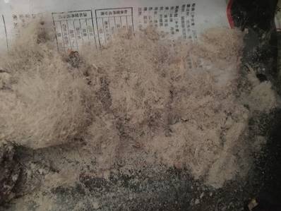 南方阴雨天怎么对付被子螨虫,下雨天怎么除螨虫