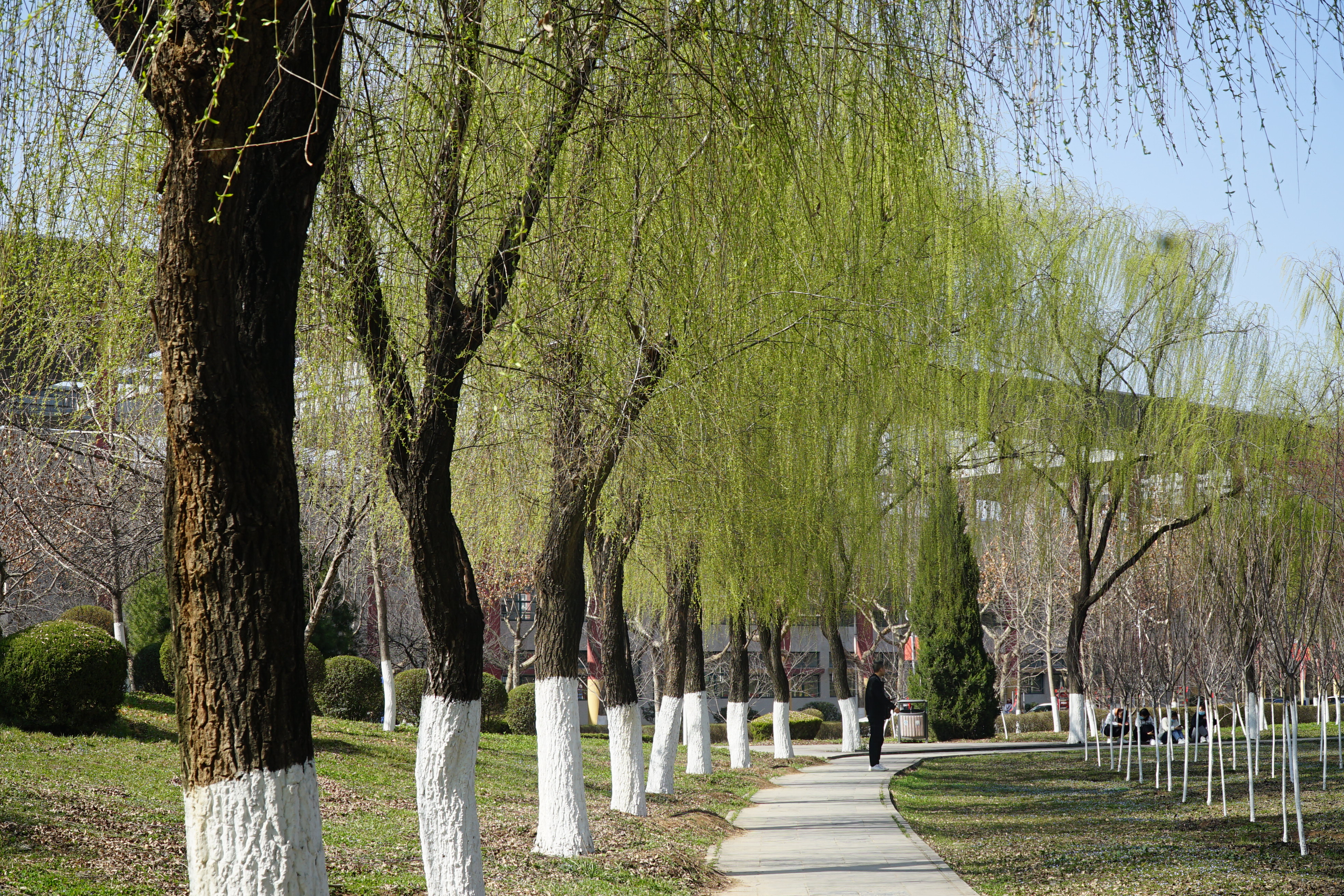 这15所专科师范大学，最适合低分生报考！关键是毕业以后好就业