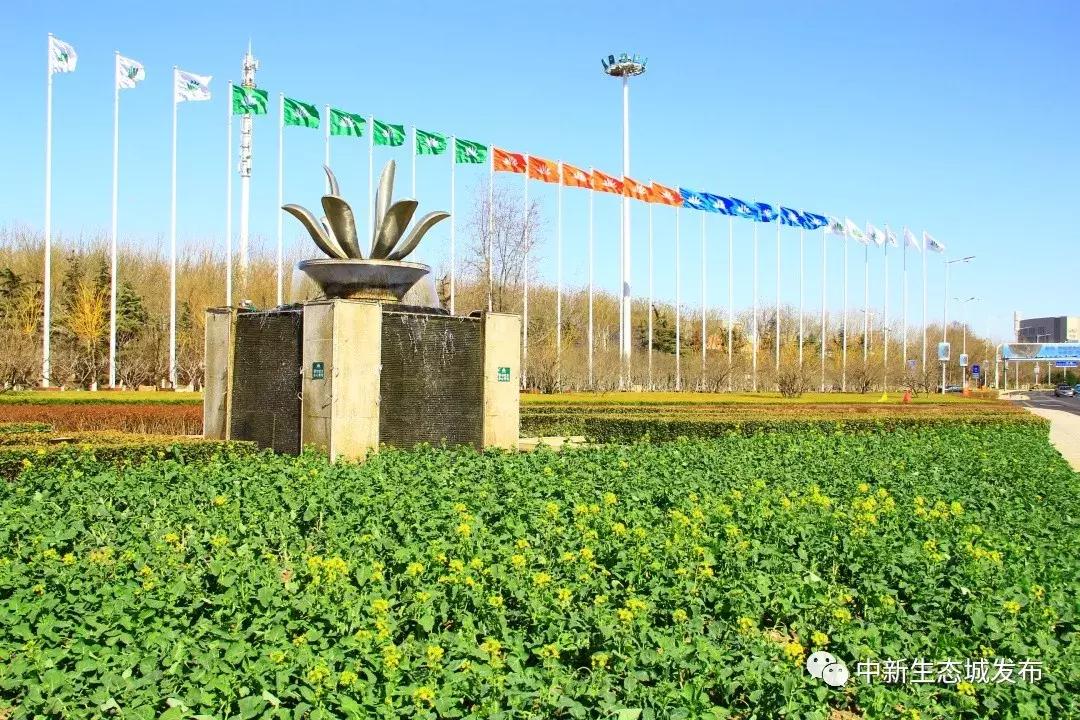 天津静海油菜花景点在哪里,天津油菜花旅游最佳路线图